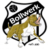 Bollwerk logo
