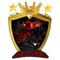 BLACK DEMONS NG logo