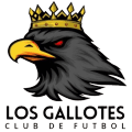 LOS GALLOTES FC LFV logo