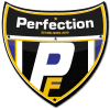Perfection  x logo