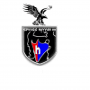 Spvgg Hayvan 1909 logo