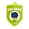 Pelusas logo