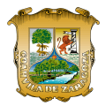 VPN COAHUILA logo