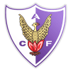 VPN Fenix logo