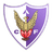 VPN Fenix