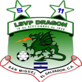LSVP DRAGON logo