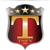 Toca e Sai FV logo