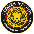 VPN Leones Negros logo