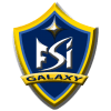 FSI Galaxy logo