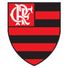 VPN  Flamengo logo