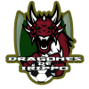 DRAGONES DE IRIPPO logo
