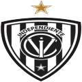 LVC Ind Del Valle  logo
