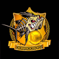 Doradosfc  logo