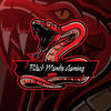 Black Mamba Gaming logo