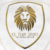 FC Team Spirit logo