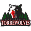 [PS4] TorreWolves FC