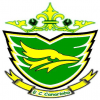 E C CANARINHO (BR) logo