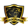 Black Pumas logo