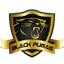 Black Pumas