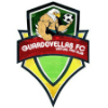 [PS4] Guardovellas CF logo